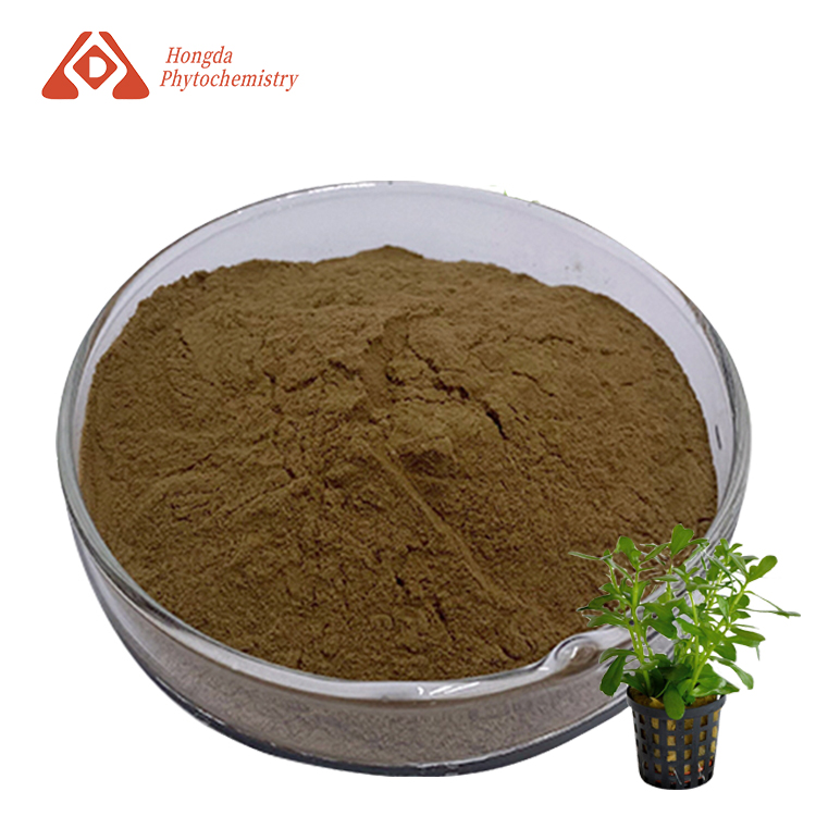 Bacopa Monnieri Extract Powder